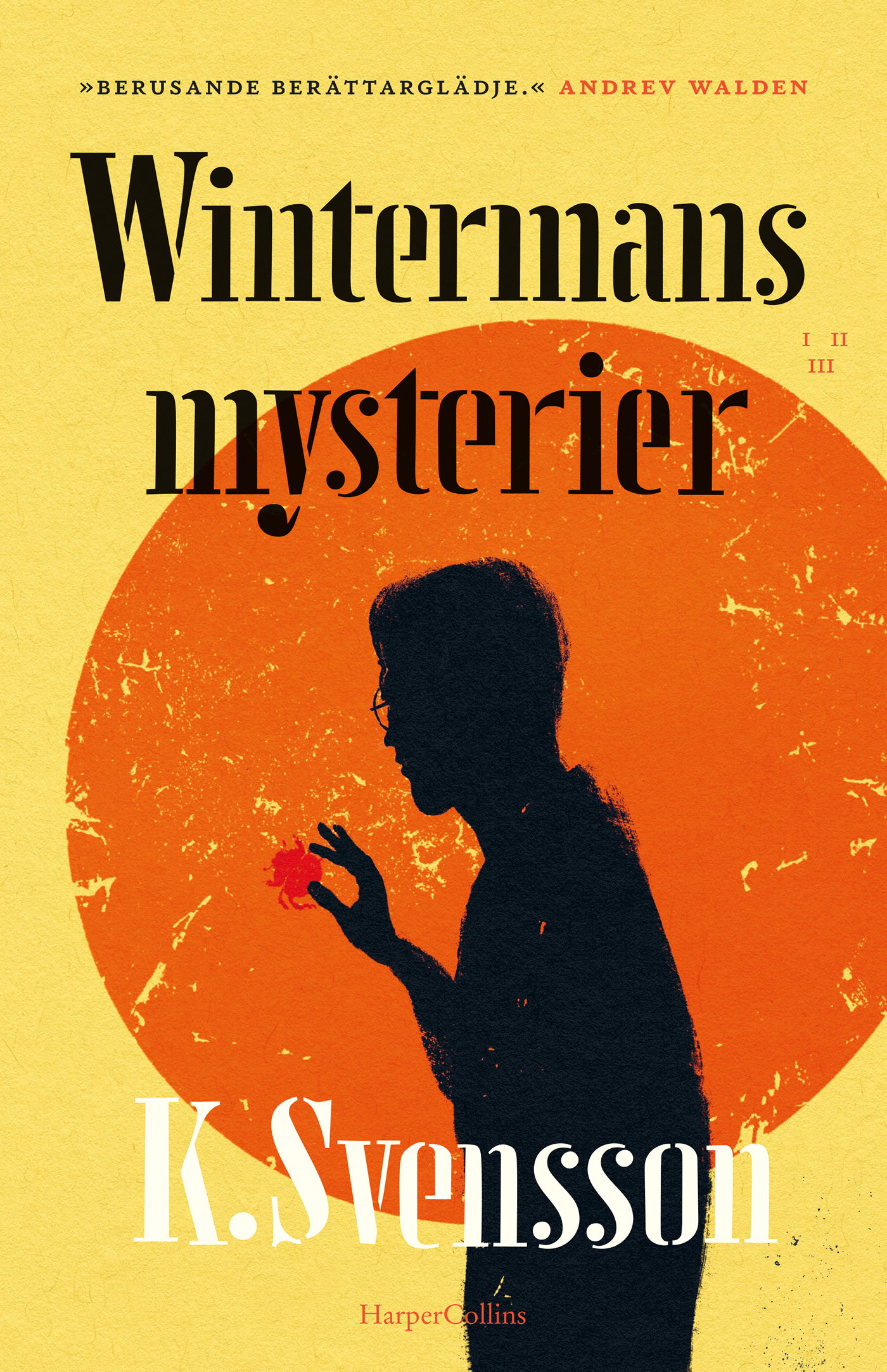 Omslag: Wintermans mysterier