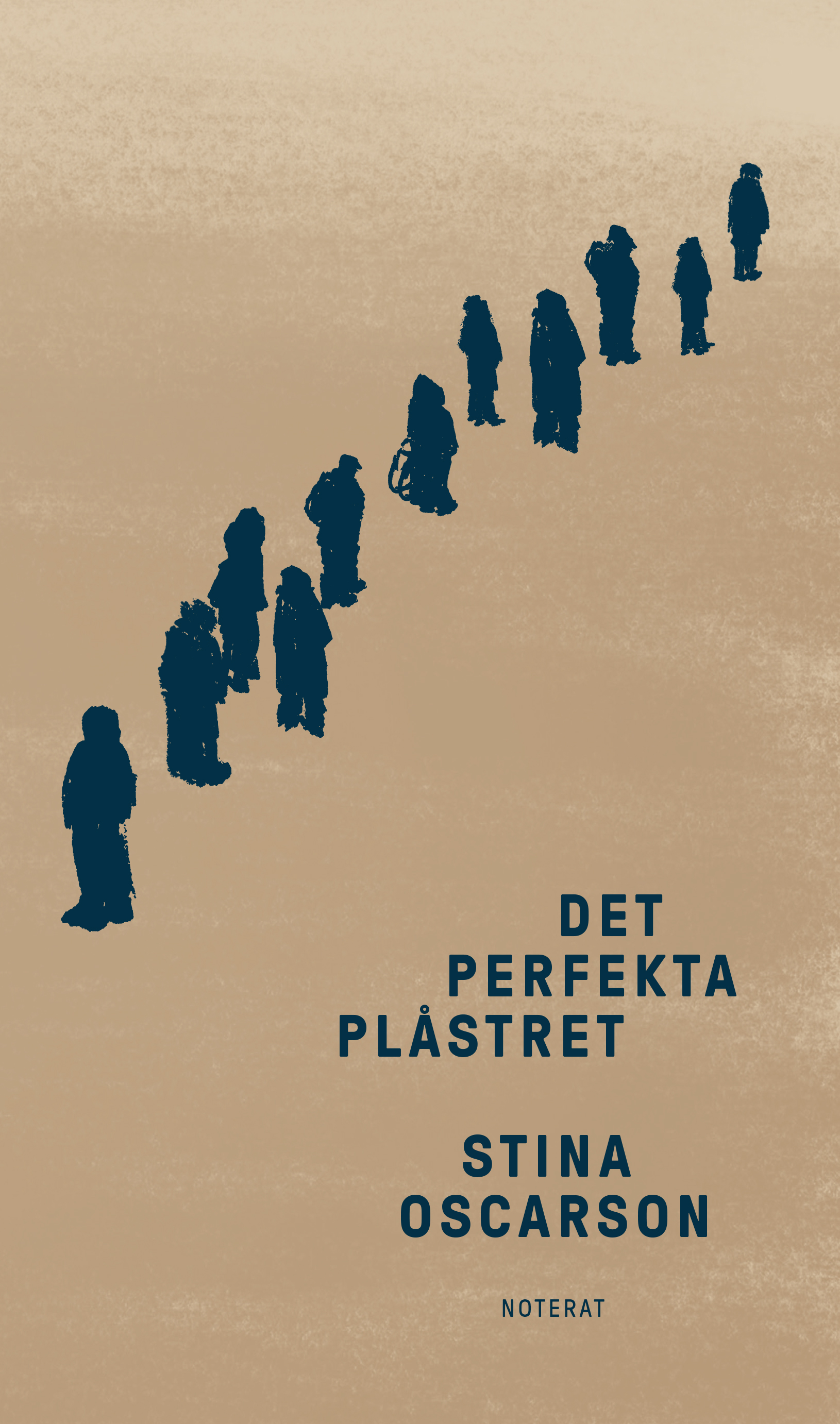 Omslag: Det perfekta plåstret