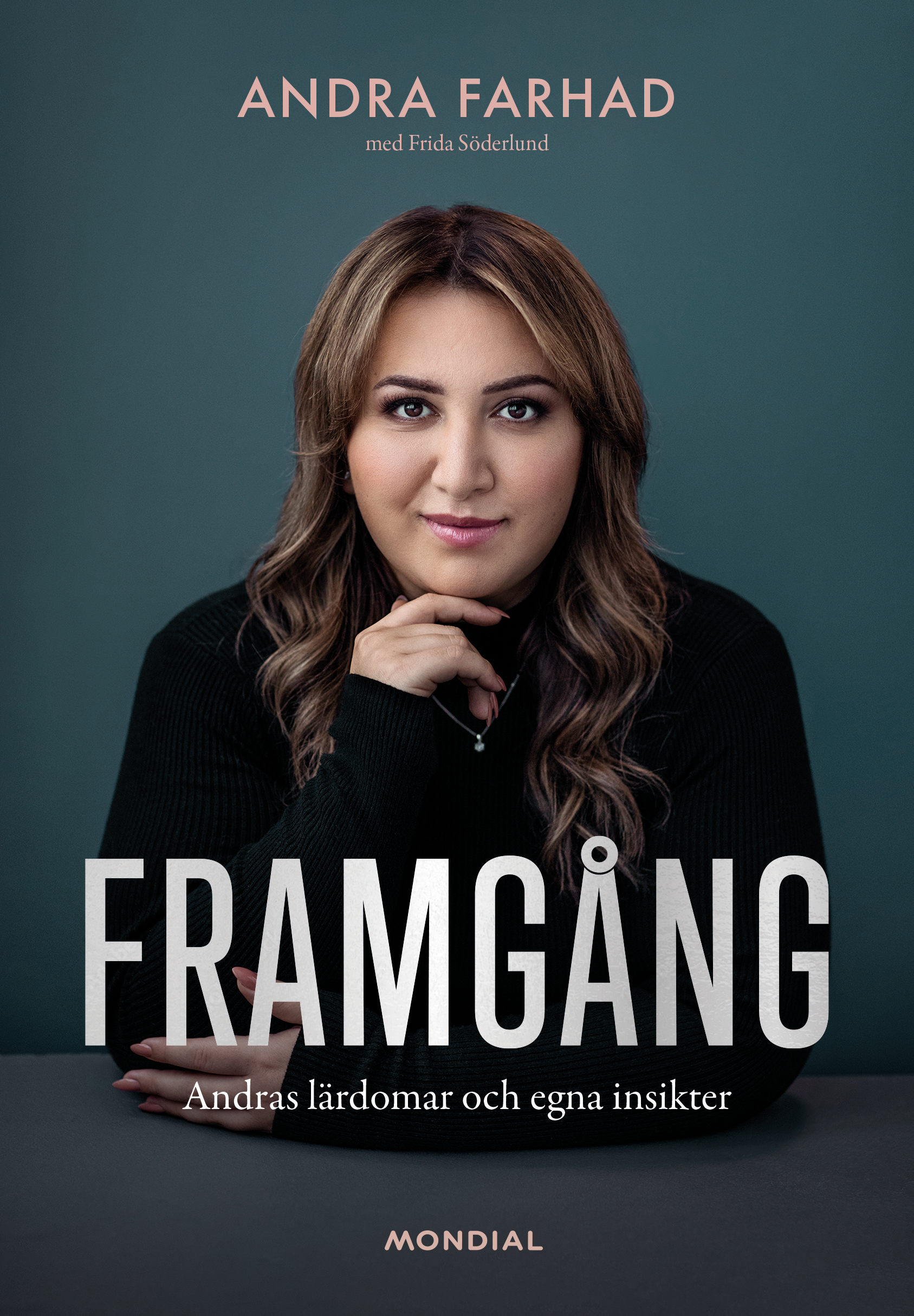 Omslag: Framgång : andras lärdomar och egna insikter